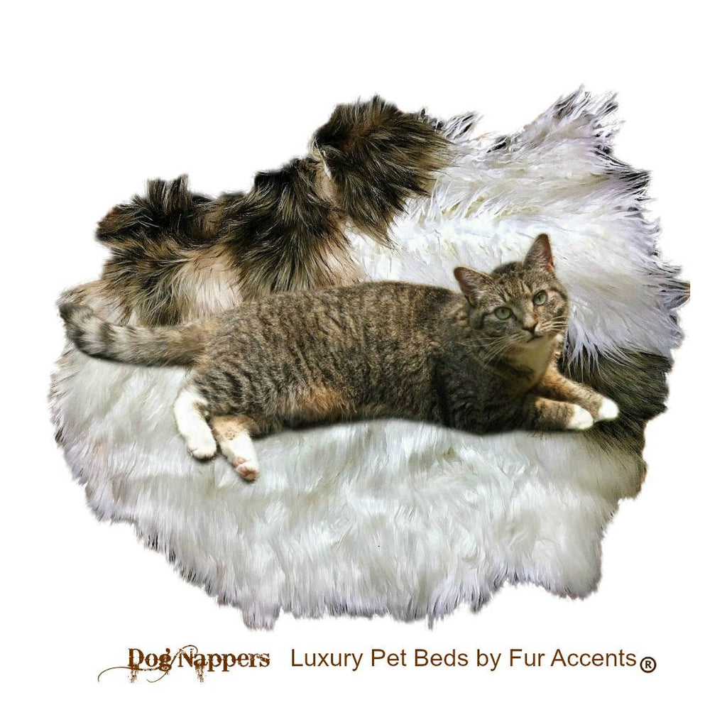Shaggy Soft Padded Luxury Faux Fur DogNapper Dog Bed - Tabby Cat Mat - Padded Plush Shag Fur Lining - Fur Accents USA