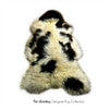 Plush Faux Fur Area Rug  Shaggy Thick Icelandic Single Sheepskin - Bohemian Shape - 4 Colors-  Designer Art Rugs by Fur Accents USA