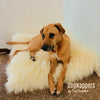 Shaggy Soft Mongolian Faux Fur DogNapper Dog Bed - Cat Mat - Reversible - Padded Plush Shag Fur Lining - Small,Medium,Large, Fur Accents USA